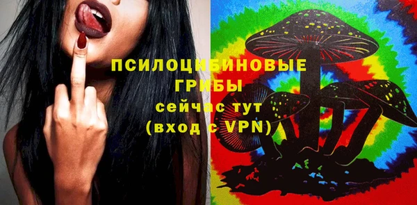 дмт Абаза
